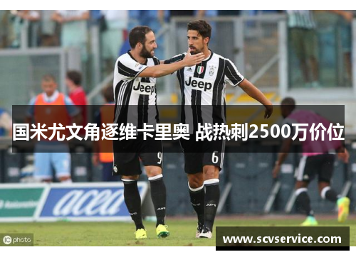 国米尤文角逐维卡里奥 战热刺2500万价位